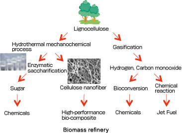 Image of Biomass Refinery Research Center