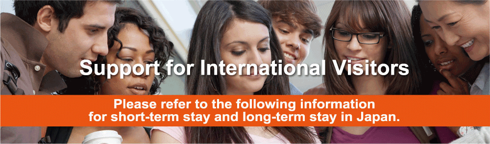 Support for International Visitors