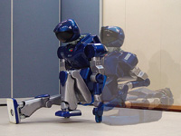 The Photo of the robot.