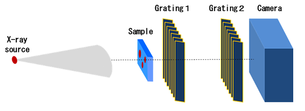 Summary figure