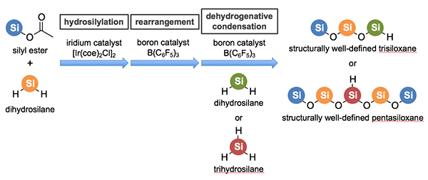 Figure of the developed technique for the precise formation of siloxane bonds