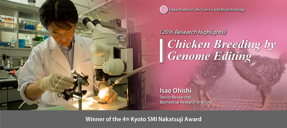 Chicken Breeding by Genome Editing