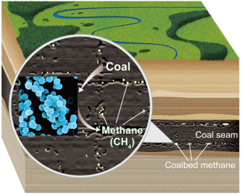 Figure : Coal-bed methane in coal seams and methanogens that covert coal to methane