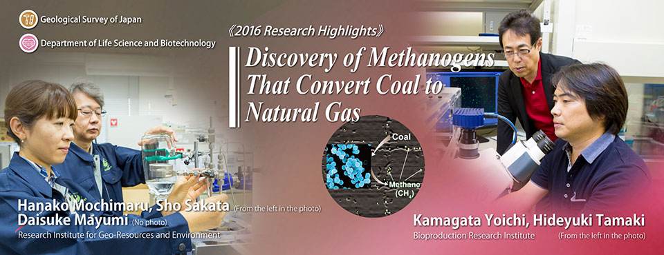 Discovery of Methanogens That Convert Coal to Natural Gas