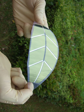 葉っぱ型の太陽電池モジュールの写真