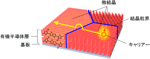 有機トランジスタ内におけるキャリアーの伝導の様子の図