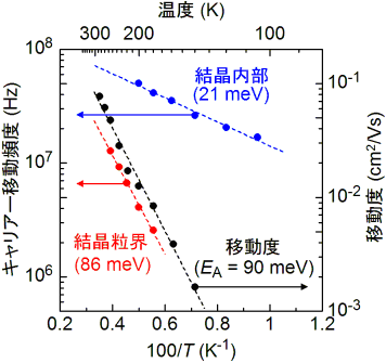 ESRスペクトル解析によって得られた微結晶内部および微結晶粒界のキャリアー移動頻度の図