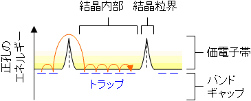 有機半導体層内でキャリアーが輸送される様子の図