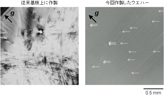 Ｘ線トポグラフ像の比較 （右）今回作製したウエハー（左）従来基板上に作製した単結晶の図