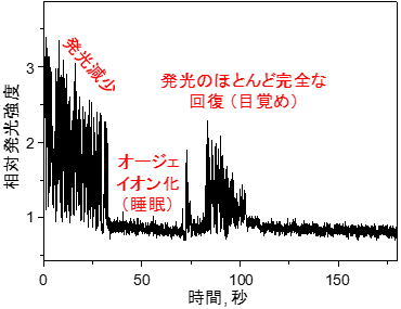 開発したプロトタイプの装置全体写真