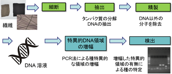 カシミヤ繊維を識別する試験手順の図