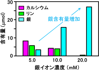 混合水溶液4 mL中に生成した複合粒子中のカルシウム、リン、銀の含有量の図