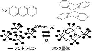 アントラセンの２量化反応とそれを利用した分子間架橋反応模式図