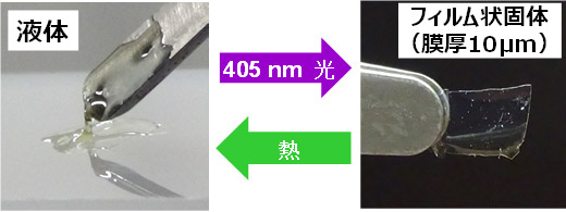 可視光で硬化し、150℃以上の加熱で再び液化する接着剤の写真