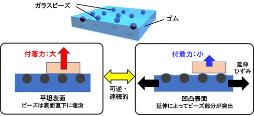 引っ張ると凹凸が生まれ、付着力が連続的に減少するゴムシートの図