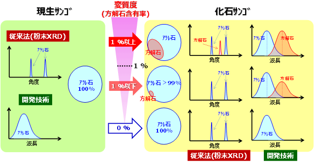 化石サンゴの変質度の評価における従来法と開発技術の検出感度の違いの図