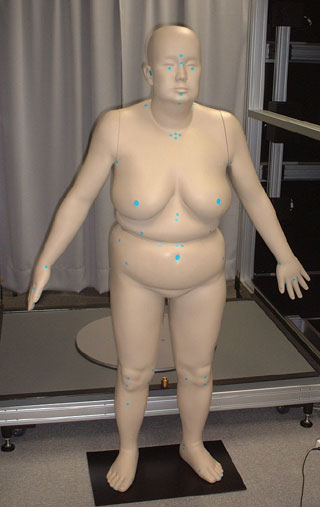 太った背の低い女性の立位ダミーの写真