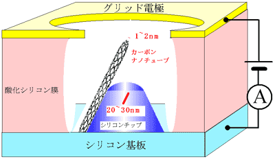 「グリッド電極付きカーボンナノチューブ・フィールドエミッタ」の１個のエミッタ断面構造図