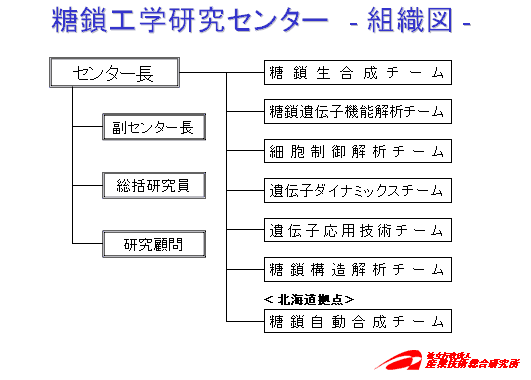 糖鎖工学研究センター組織図