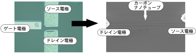 量子効果ナノデバイスの量産手法により形成したカーボンナノチューブ単一電子トランジスタの図