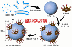 新規ＤＤＳナノ粒子の作製方法の一例の図