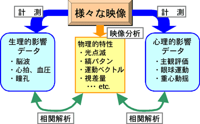 映像の物理的特性と生理的・心理的な生体影響との相関解析の図