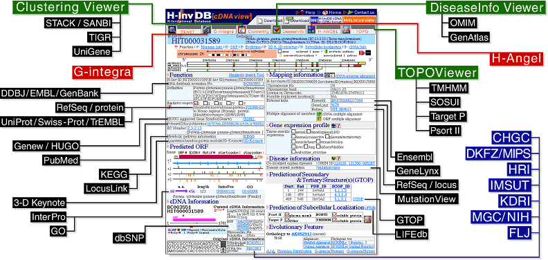 H-Invitational Databaseのサンプル画面の図