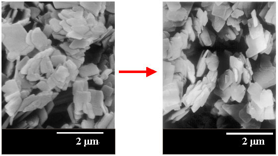 層状珪酸塩PLS-1と新規ゼオライトCDS-1の走査型電子顕微鏡写真画像