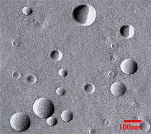 ウコン抽出エキスが内包された「ナノサイズ」カプセルの電子顕微鏡写真