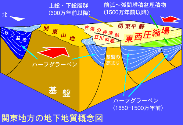 関東平野および周辺地域の地質構造概念図