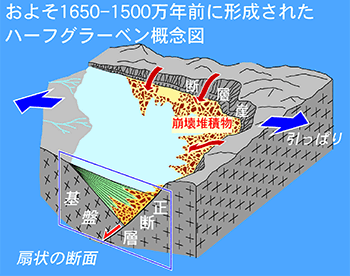 日本海の拡大末期に形成されたハーフグラーベン概念図