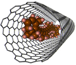 βカロテンを内包したSWCNTの構造予想図
