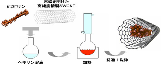 βカロテンのSWCNTへの内包化手順の図