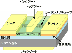 カーボンナノチューブトランジスタの構造図