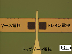 カーボンナノチューブトランジスタの顕微鏡写真