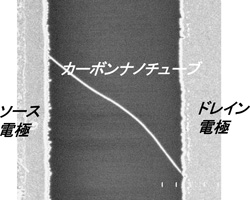 カーボンナノチューブの電子顕微鏡写真