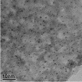 白金-アルミナクリオゲルの白金超微粒子の写真