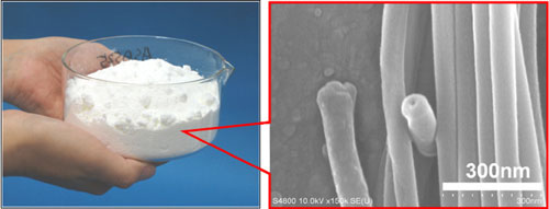 有機ナノチューブから構成される白色固体粉末とその走査電子顕微鏡写真
