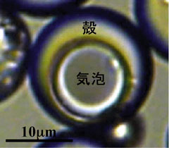 中空マイクロカプセルの光学顕微鏡写真