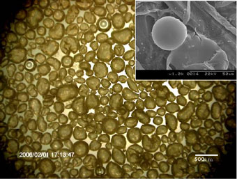水面でのメラミン中空マイクロカプセルと電子顕微鏡写真