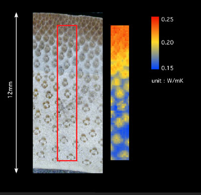 孟宗竹の断面の熱伝導率の可視化画像