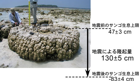 隆起サンゴのマイクロアトールの写真