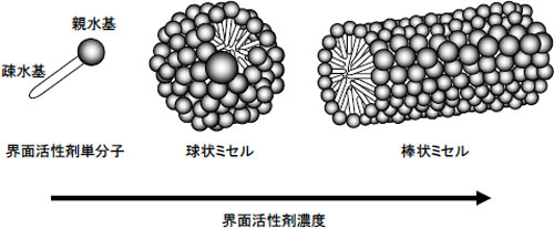 濃度変化に伴うミセルの形状変化の図
