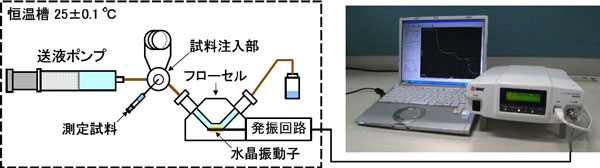 流路型水晶振動子式免疫センサーシステム構成図