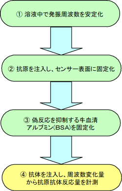 抗原抗体反応でQCM上に固定化した抗原分子と抗IgG抗体との抗原抗体反応量測定の流れ図