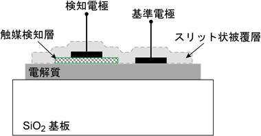 1室型電気化学セル構造の模式図