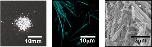 発光性ONT-AISTの粉末写真、蛍光顕微鏡像、走査電子顕微鏡像