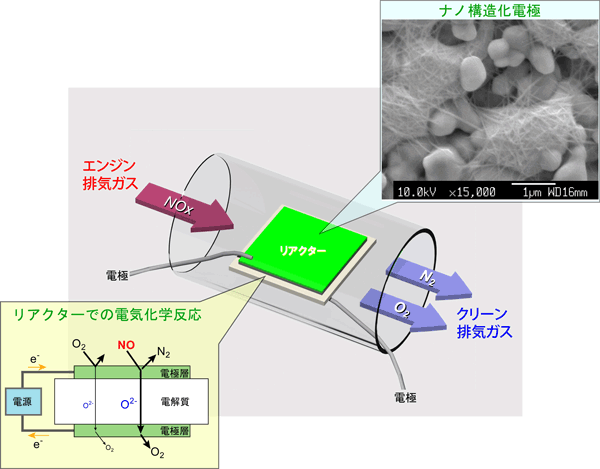 開発した電気化学リアクター概略図