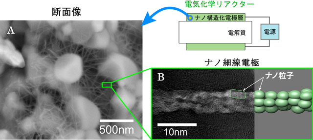 反応電極断面の走査型電子顕微鏡像とナノ細線の透過型電子顕微鏡像と模式図