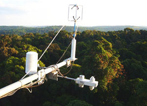 観測地点周囲の森林と測定装置写真（サケラート）